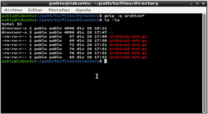 Pantalla de terminal de Linux con comando gzip para comprimir archivos