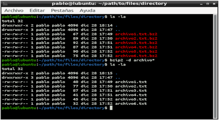 Pantalla de terminal de Linux con comando bzip2 para descomprimir archivos