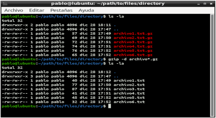 Pantalla de terminal de Linux con comando gzip para descomprimir archivos