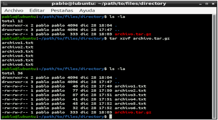 Pantalla de terminal de Linux con comando tar con gzip para descomprimir archivos