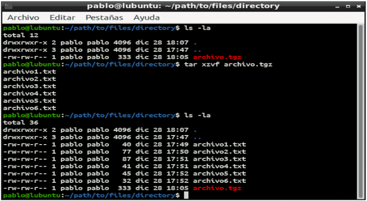 Pantalla de terminal de Linux con comando tar con gzip para descomprimir archivos tgz