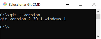 Pantalla del terminal de Windows con comando Git